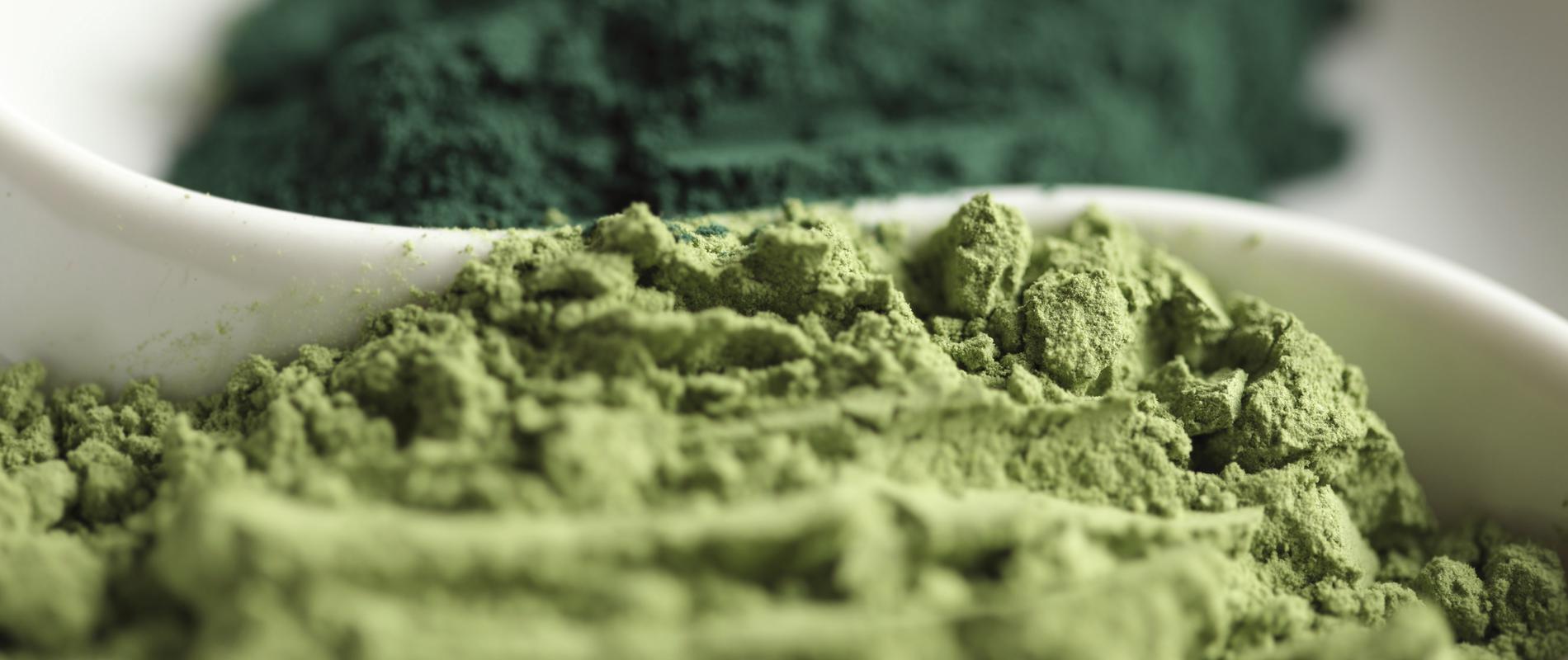 Compléments alimentaires : la spiruline une algue miracle