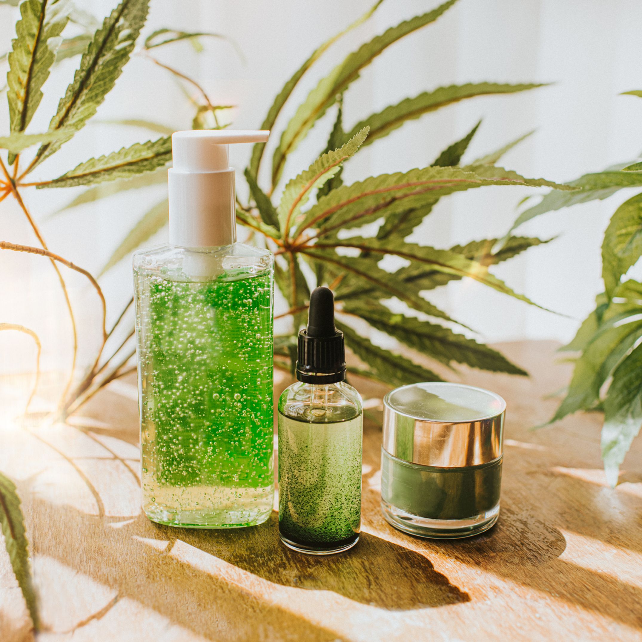 Quelles sont les meilleures huiles de CBD ?